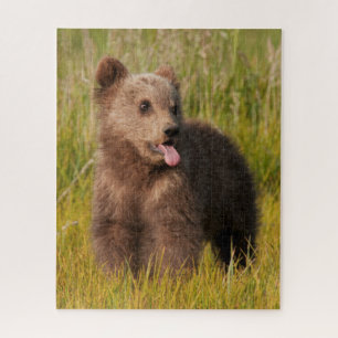 Quebra-cabeça Urso engraçado do bebê das imagens de Getty