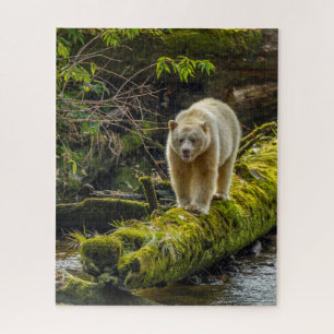 Quebra-cabeça Urso Espírito Branco Colúmbia Britânica, Canadá