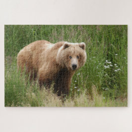 Quebra-cabeça Urso fechado, Brooks Falls Alasca