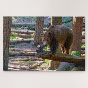 Quebra-cabeça Urso Grizzly Desafiando o Lover da Vida Selvagem
