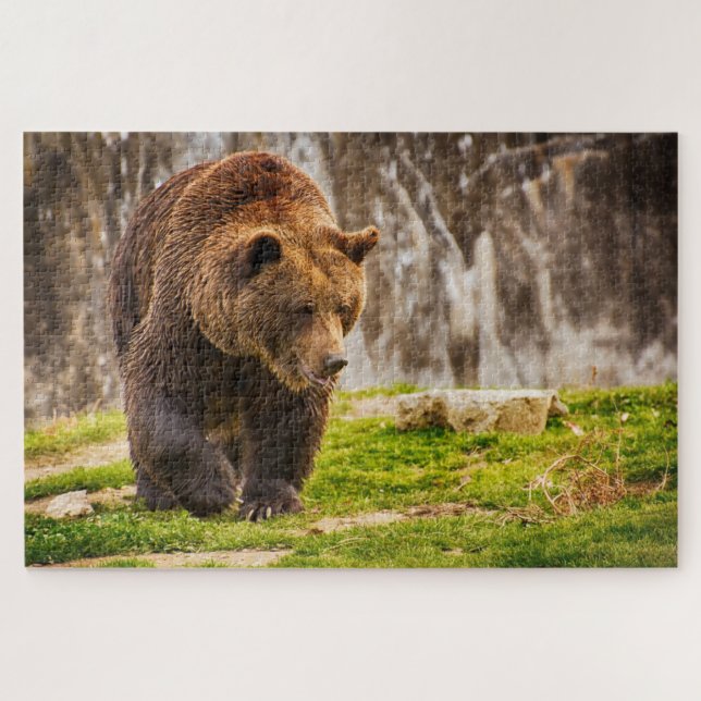 Quebra-cabeça Urso Grizzly Grande No Animal Selvagem (Horizontal)