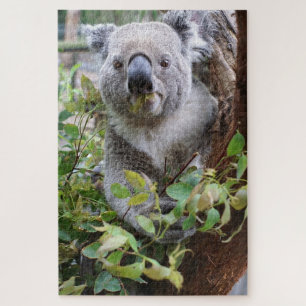 Quebra-cabeça Urso Koala