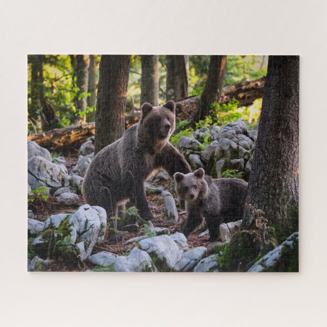 Quebra-cabeça Urso Mãe E Filhote Eslovênia (Horizontal)