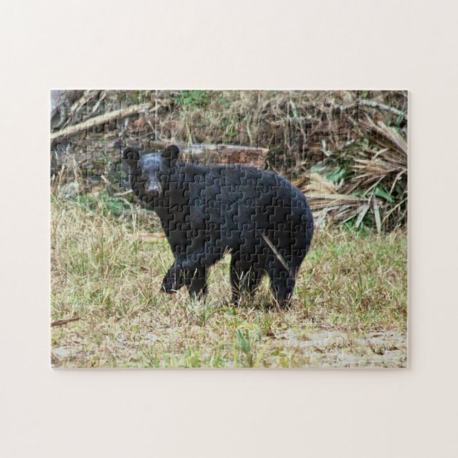Quebra-cabeça Urso Negro da Flórida (Horizontal)
