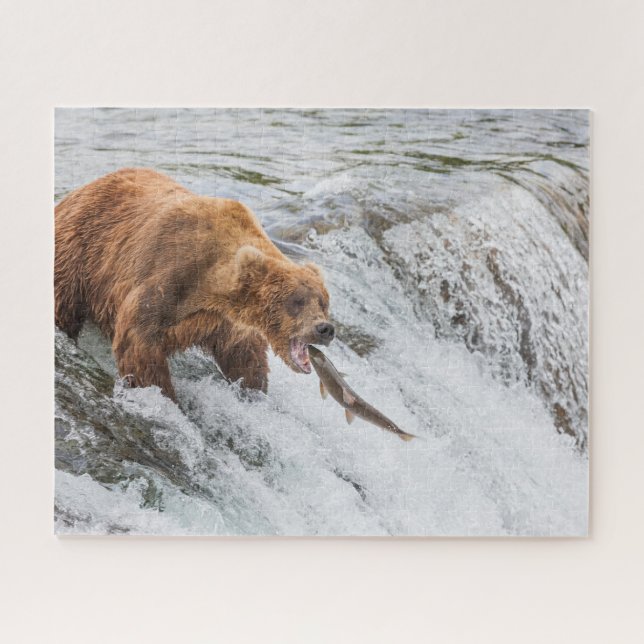 Quebra-cabeça Urso Pardo Pega Salmão Vermelho (Horizontal)