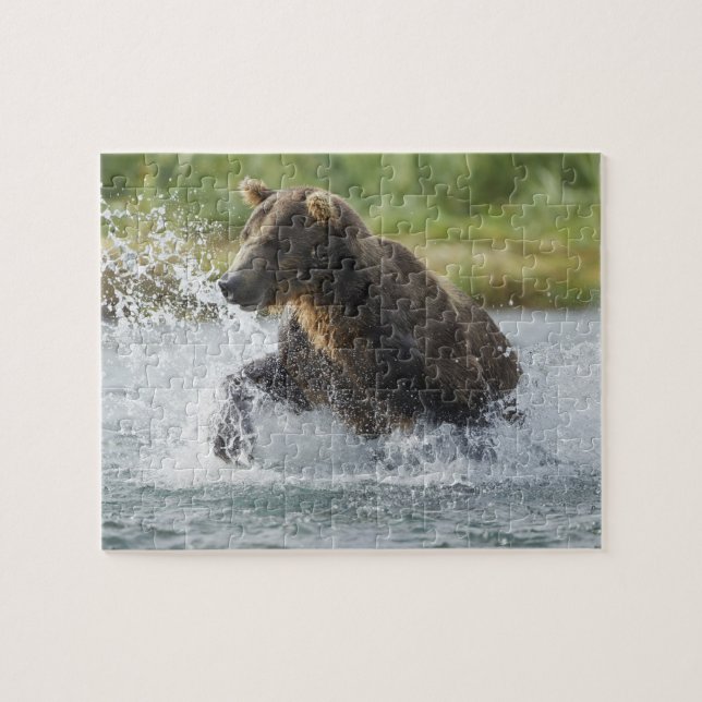 Quebra-cabeça Urso pardo perseguindo salmão no rio (Horizontal)