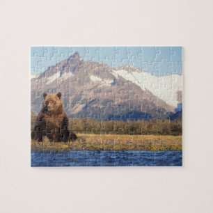 Quebra-cabeça urso pardo, Ursus arctos, urso cinzento, Ursus