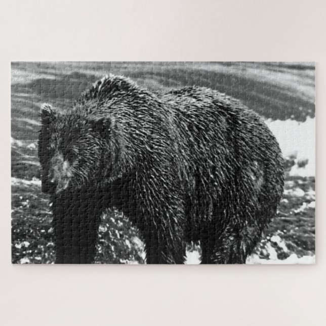 Quebra-cabeça Urso pardo vintage EUA Alasca (Horizontal)