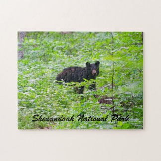Quebra-cabeça Urso - Parque Nacional Shenandoah