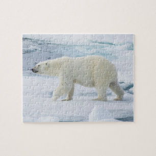 Quebra-cabeça Urso polar andando, Noruega