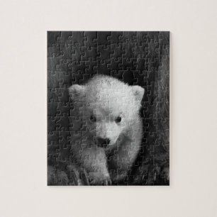 Quebra-cabeça Urso Polar Bebê com Mãe, Preto e Branco