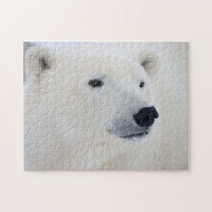 Quebra-cabeça Urso Polar Churchill