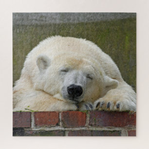 Quebra-cabeça Urso polar dormente