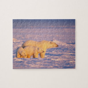 Quebra-cabeça Urso polar fêmea com filhotes na primavera congela