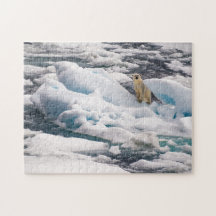 Urso Polar no Iceberg Azul em Svalbard Ártico