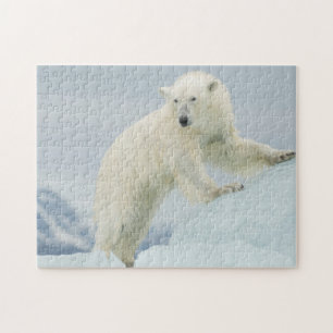 Quebra-cabeça Urso polar no verão