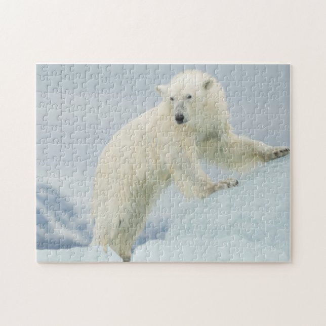 Quebra-cabeça Urso polar no verão (Horizontal)