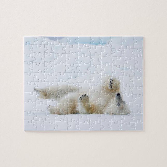 Quebra-cabeça Urso polar rolando na neve, Noruega (Horizontal)