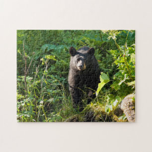 Quebra-cabeça Urso preto curioso