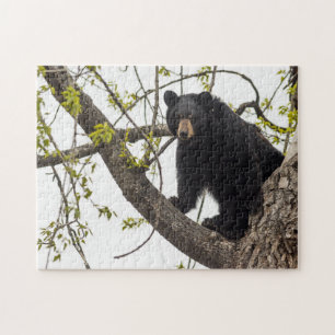 Quebra-cabeça Urso preto de escalada