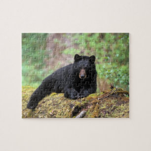 Quebra-cabeça Urso preto em um tronco de crescimento antigo na