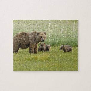 Quebra-cabeça Ursoaia Alaskan Brown Bear e três filhotes, Ursus