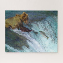 Ursos-brown Kodiak da Jigsaw pescando.