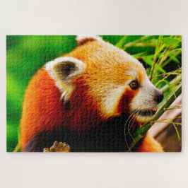 Quebra-cabeça Ursos de Panda Vermelha.