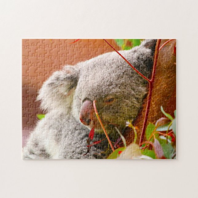 Quebra-cabeça Ursos Koalás. (Horizontal)