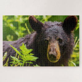 Quebra-cabeça Ursos Pretos.