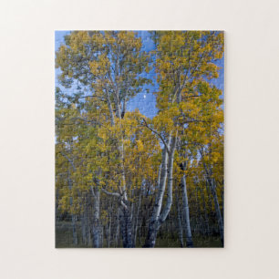 Quebra-cabeça Utah. EUA. Árvores de Aspen e Lua ao Crepúsculo