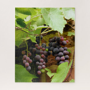 QUEBRA-CABEÇA UVAS PRETAS