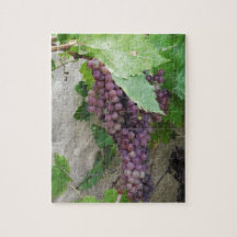 Uvas Roxas na Videira