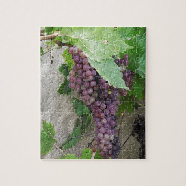 Quebra-cabeça Uvas Roxas na Videira (Vertical)