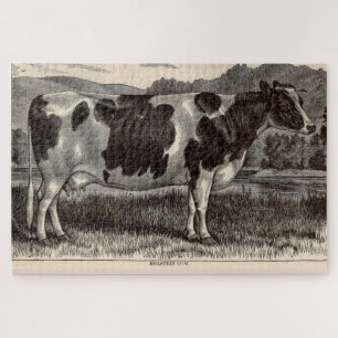 Quebra-cabeça Vaca de impressão Holstein do século XIX