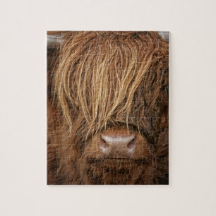 Quebra-cabeça Vaca escocesa das montanhas - Scotland