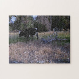 Quebra-cabeça Vaca Longhorn na Pastura