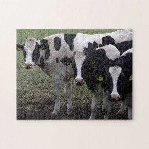 Quebra-cabeça Vacas