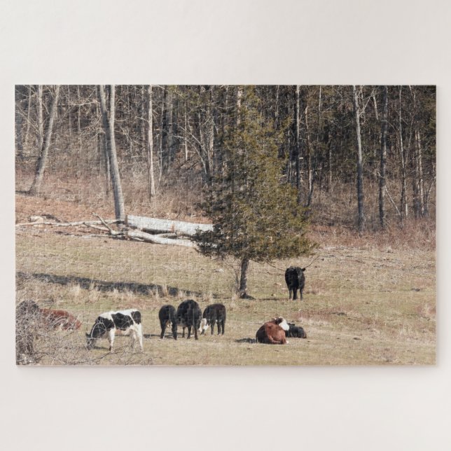 Quebra-cabeça Vacas arrasando em uma colina pacífica em Connecti (Horizontal)