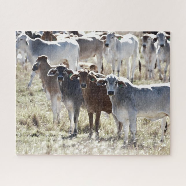 Quebra-cabeça Vacas do Campo (Horizontal)