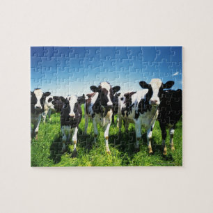 Quebra-cabeça Vacas no campo, cidade de Betsukai, Hokkaido