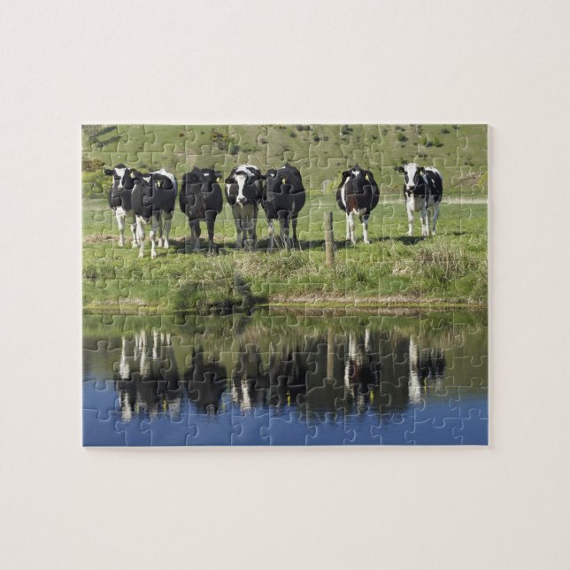 Quebra-cabeça Vacas refletidas no canal, Henley, Taieri Plain, (Horizontal)