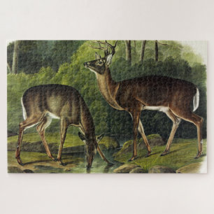 Quebra-cabeça Veado comum (branco) - Quadrupedes de Audubon