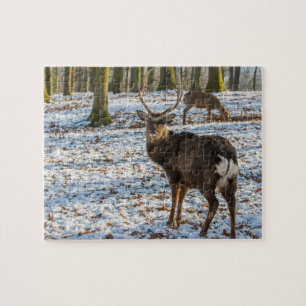 Quebra-cabeça Veado Vermelho na Neve