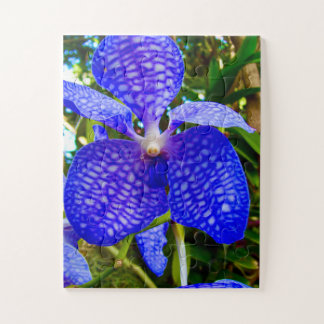 Quebra-cabeça Veias Azuis | Orquídea Vanda para Conscientização