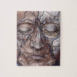 Quebra-cabeça Veias e músculos principais