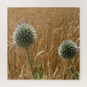 Quebra-cabeça Verão, agricultura, campo, natureza, paisagem,