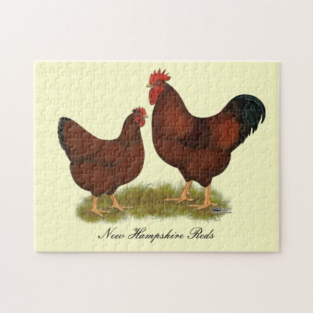 Quebra-cabeça Vermelhos de New Hampshire (Horizontal)