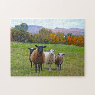 Quebra-cabeça Vermont Sheep no outono