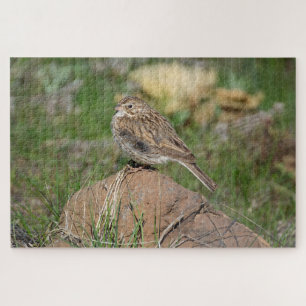 Quebra-cabeça Vesper Sparrow